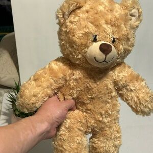 Build-A-Bear Fluffy Brown Teddy Bear